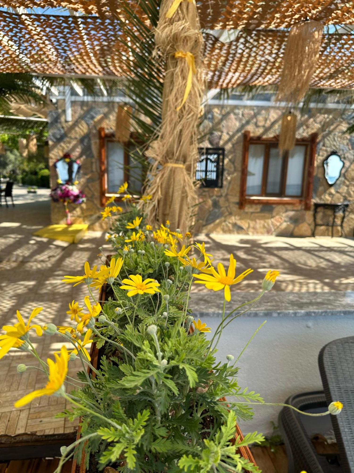 Kervan Tatil Koeyue Edremit  Exterior foto